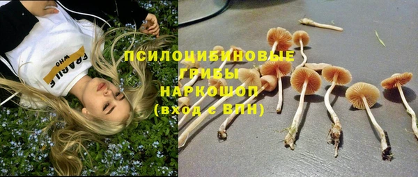 первитин Белоозёрский