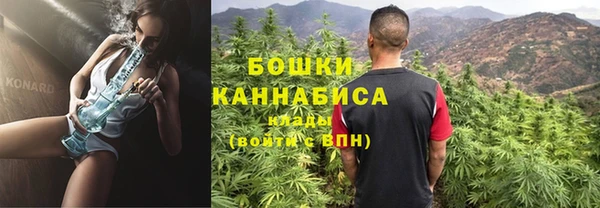 гидропоника Белокуриха