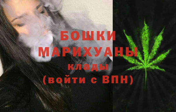 индика Новый Уренгой