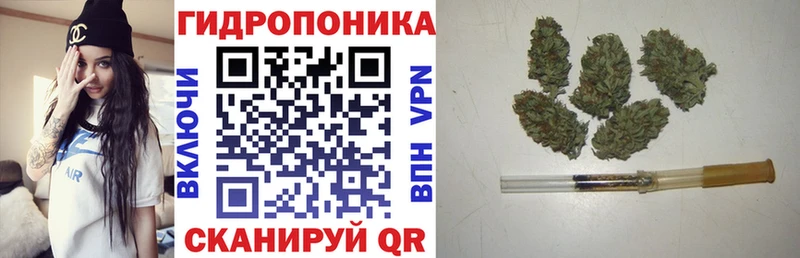 Шишки марихуана VHQ  Купить закладки  Барыш 